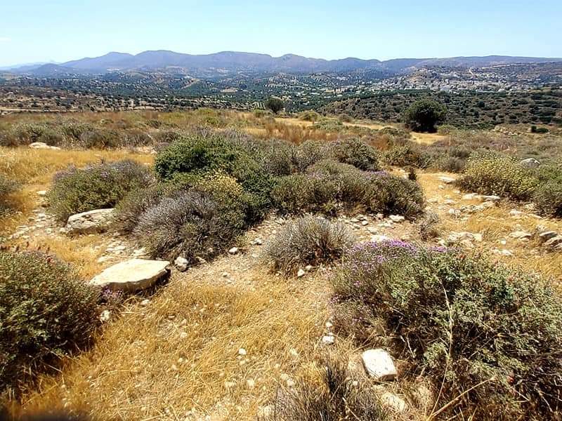 Plot Sea View for sale in Kamilari, South Crete