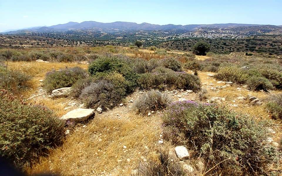 Plot Sea View for sale in Kamilari, South Crete