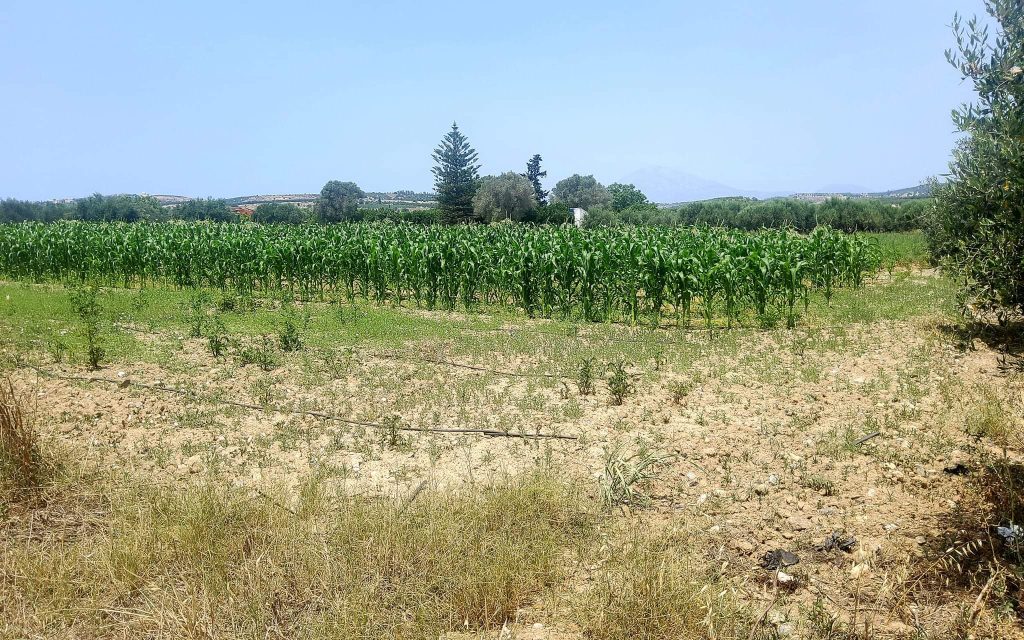 Plot for sale between Petrokefali and Sivas