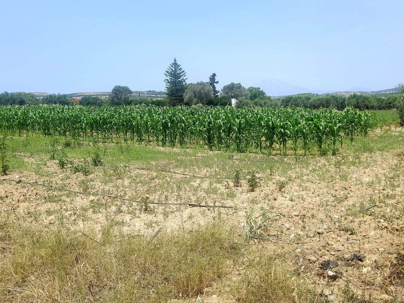 Plot for sale between Petrokefali and Sivas