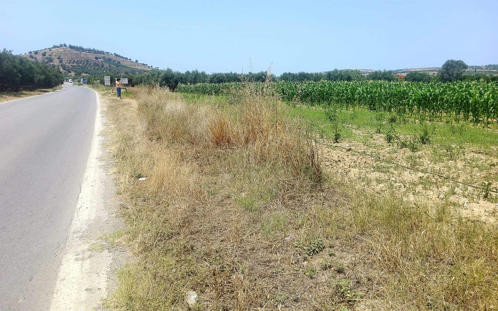 Plot for sale between Petrokefali and Sivas