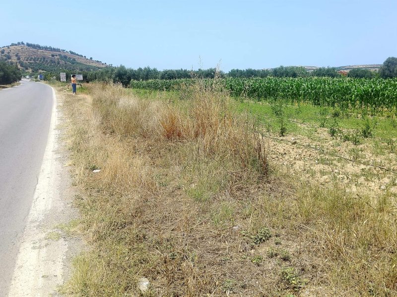 Plot for sale between Petrokefali and Sivas