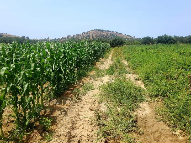 Plot for sale between Petrokefali and Sivas