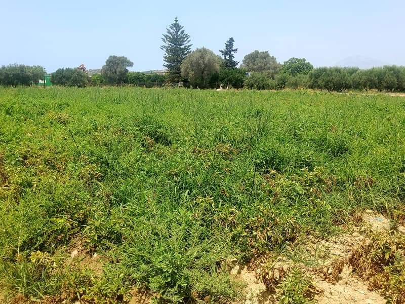 Plot for sale between Petrokefali and Sivas