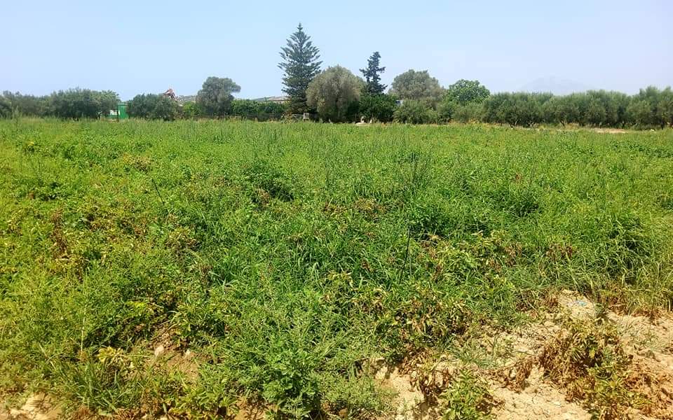 Plot for sale between Petrokefali and Sivas