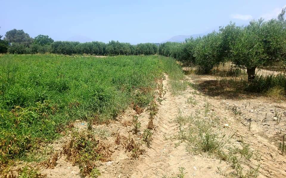 Plot for sale between Petrokefali and Sivas