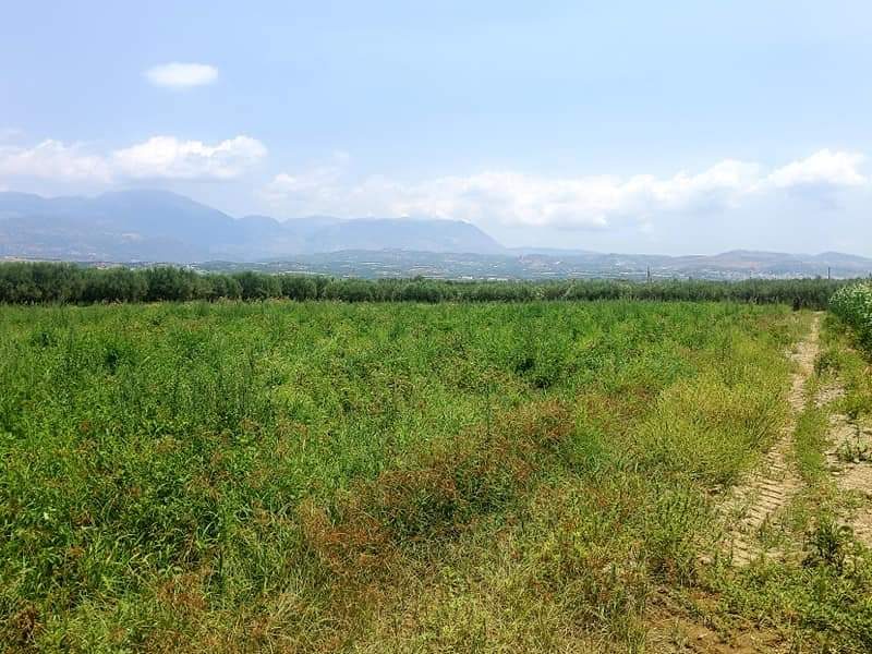 Plot for sale between Petrokefali and Sivas