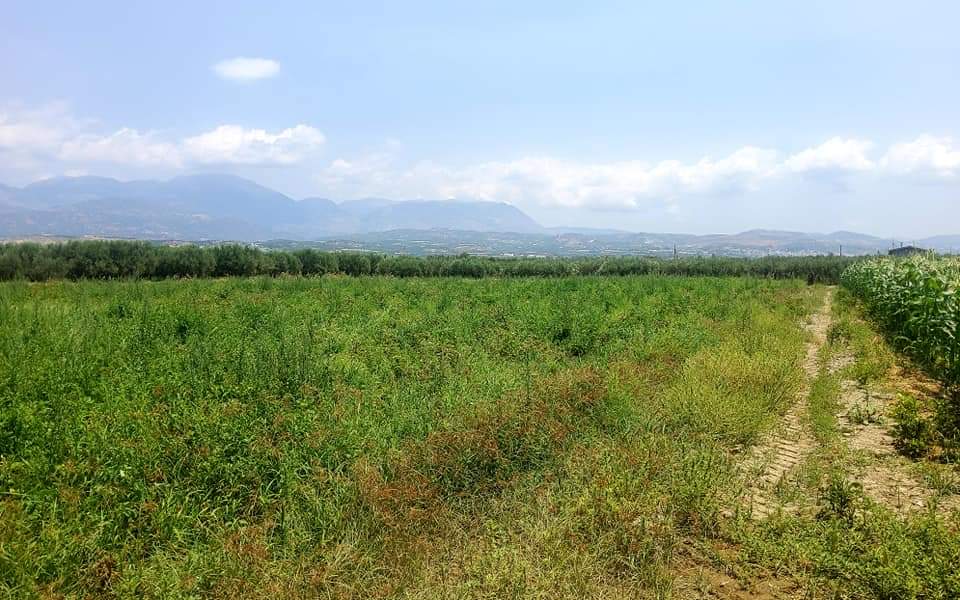 Plot for sale between Petrokefali and Sivas
