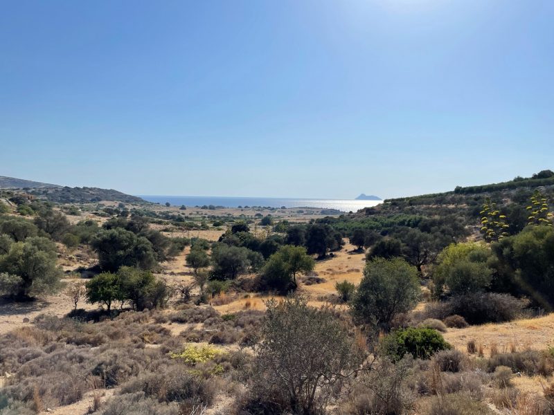 Amazing Sea View Plot for Sale in Pitsidia, South Crete