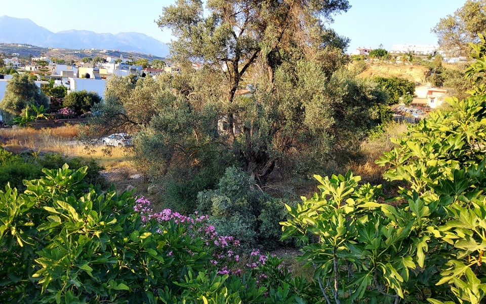 Plot for sale at Pitsidia South Crete, City Plan