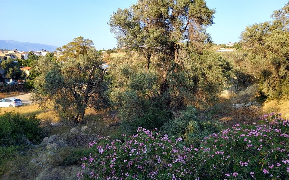 Plot for sale at Pitsidia South Crete, City Plan