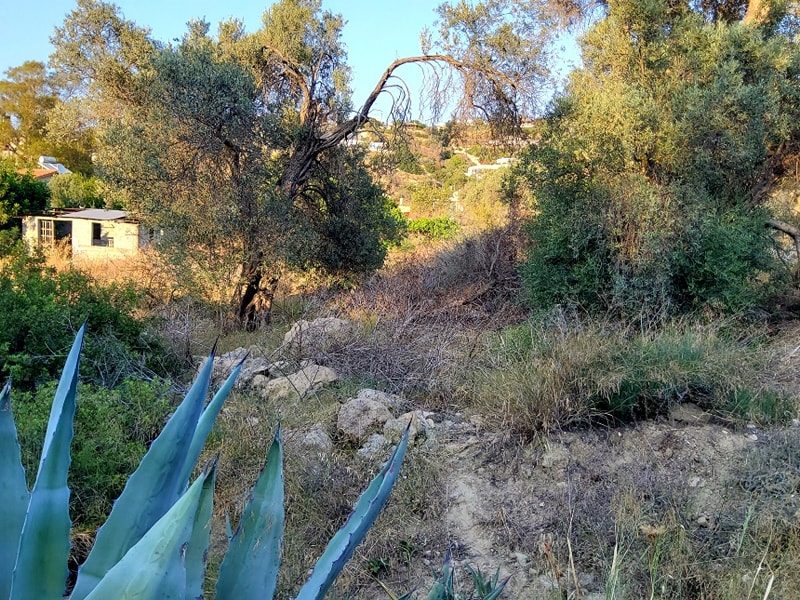 Plot for Sale in Pitsidia