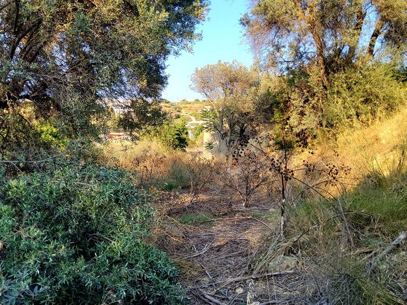 Plot for Sale in Pitsidia