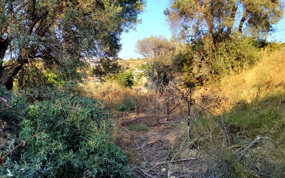 Plot for sale at Pitsidia South Crete, City Plan