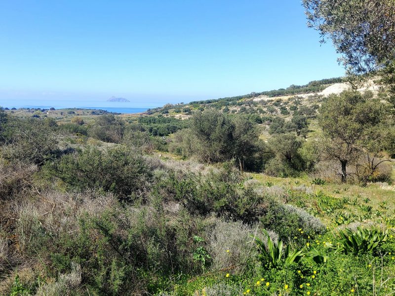 Amazing Sea View Plot for Sale in Pitsidia, South Crete