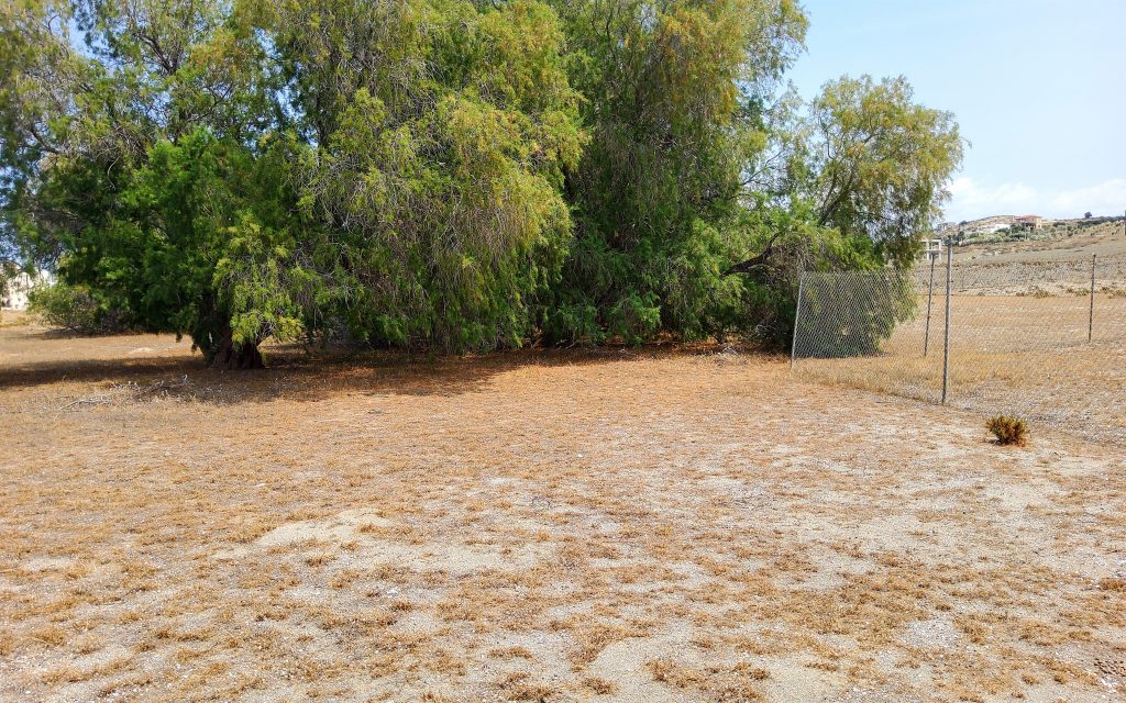 Plot for sale in Kalamaki No2