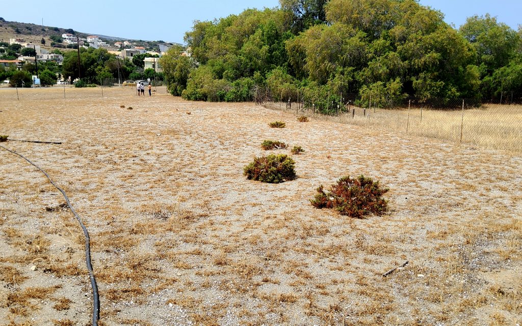 Plot for sale in Kalamaki No2