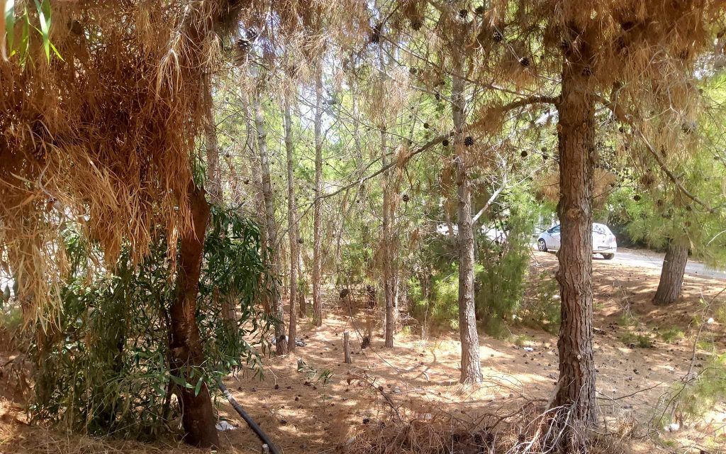 Plot for sale in Kalamaki South Crete