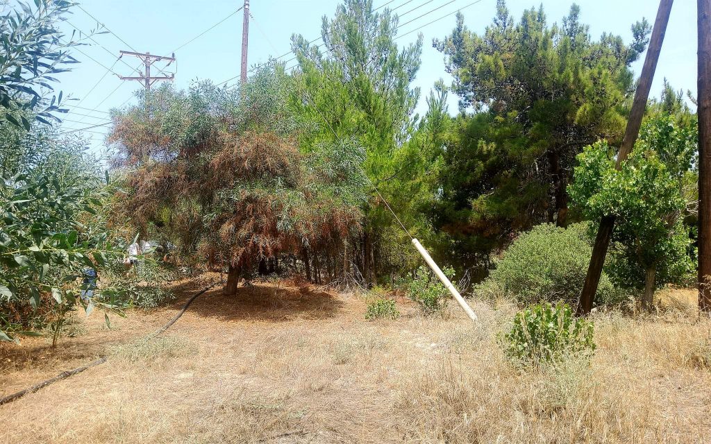 Plot for sale in Kalamaki South Crete