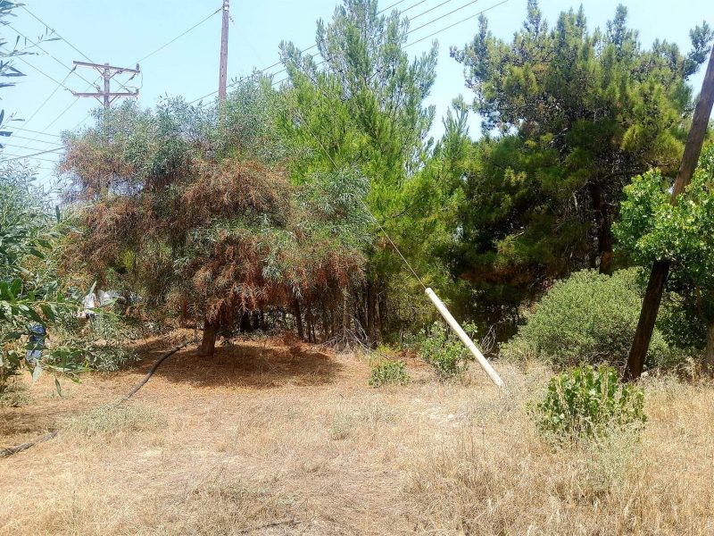 Plot for sale in Kalamaki South Crete