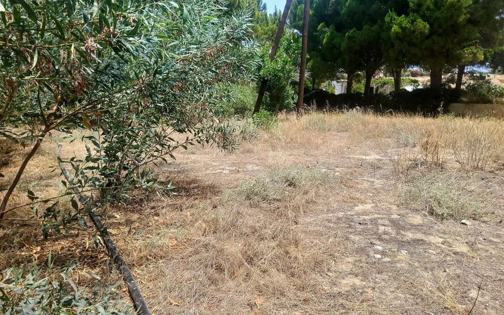 Plot for sale in Kalamaki South Crete
