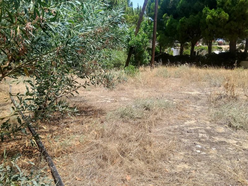 Plot for sale in Kalamaki South Crete