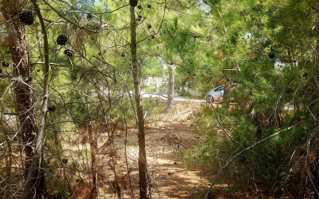 Plot for sale in Kalamaki South Crete
