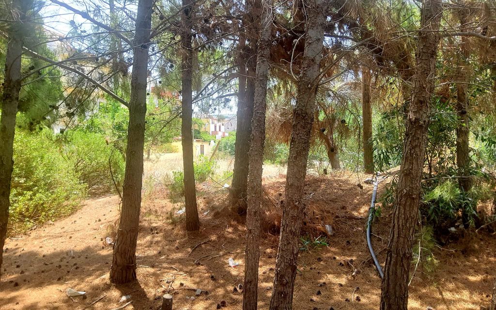 Plot for sale in Kalamaki South Crete