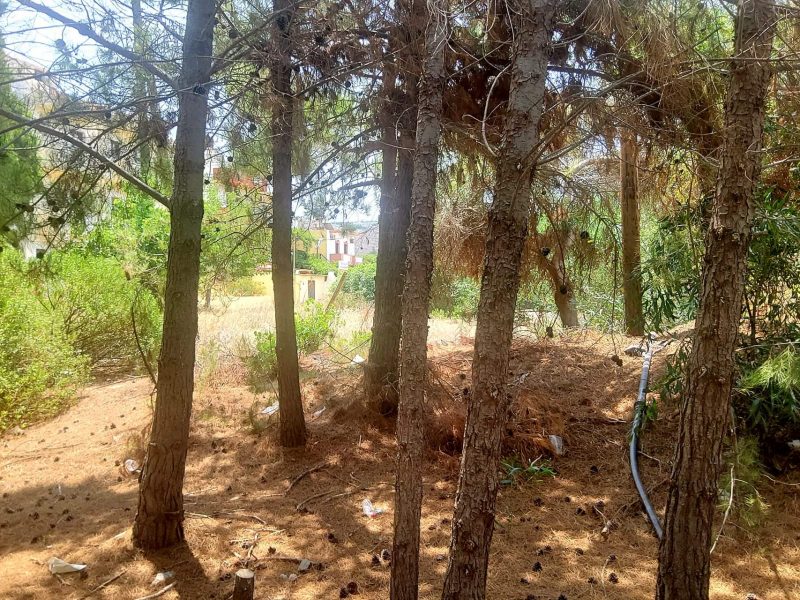 Plot for sale in Kalamaki South Crete