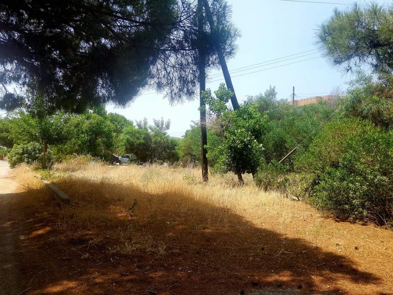 Plot for sale in Kalamaki South Crete