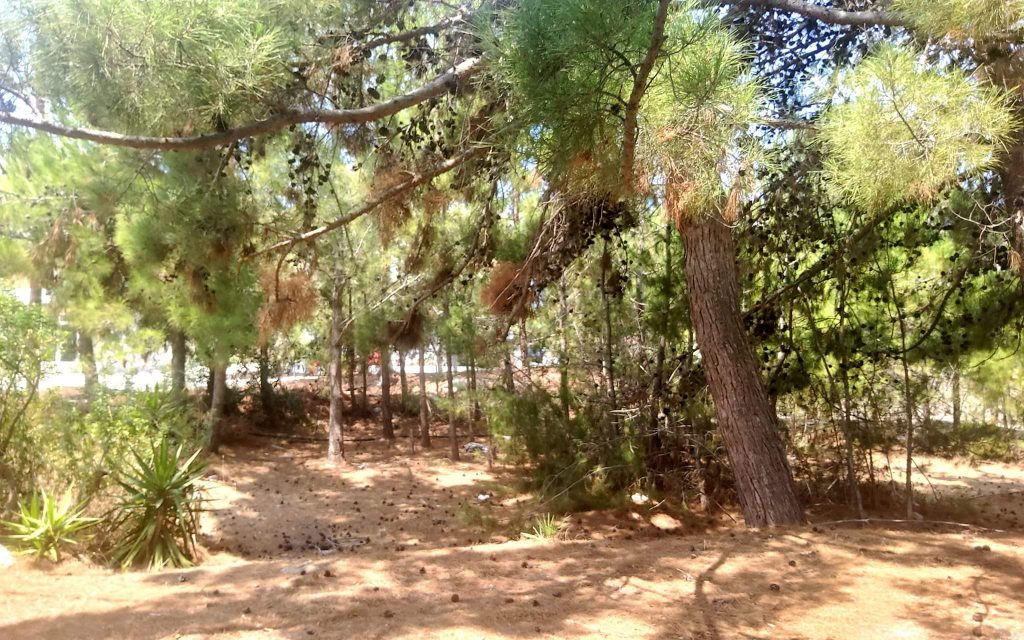 Plot for sale in Kalamaki South Crete