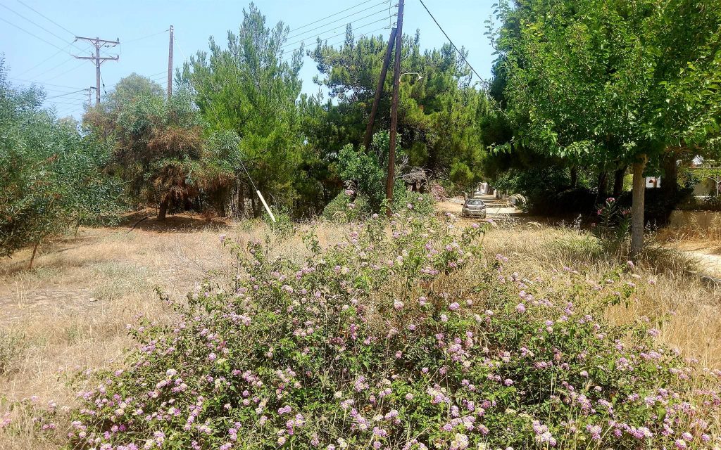Plot for sale in Kalamaki South Crete