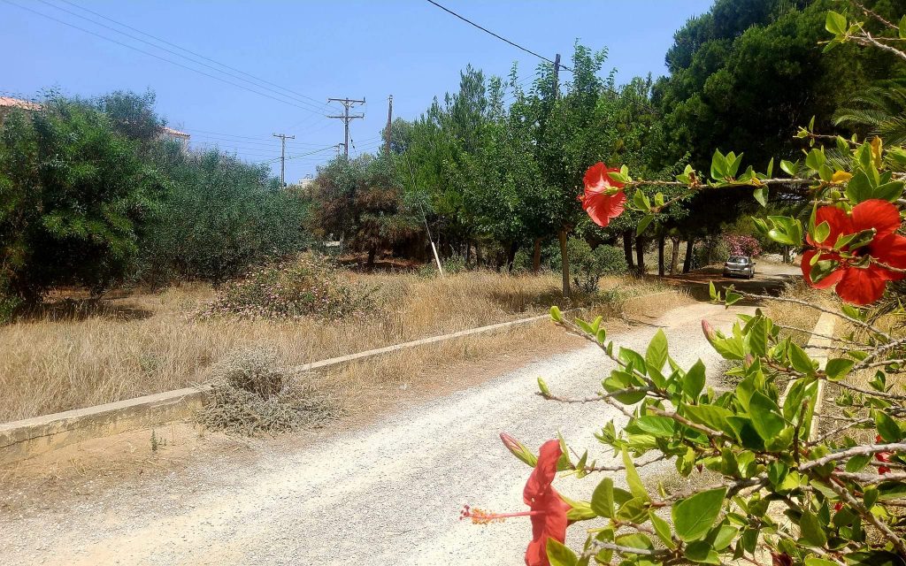 Plot for sale in Kalamaki South Crete
