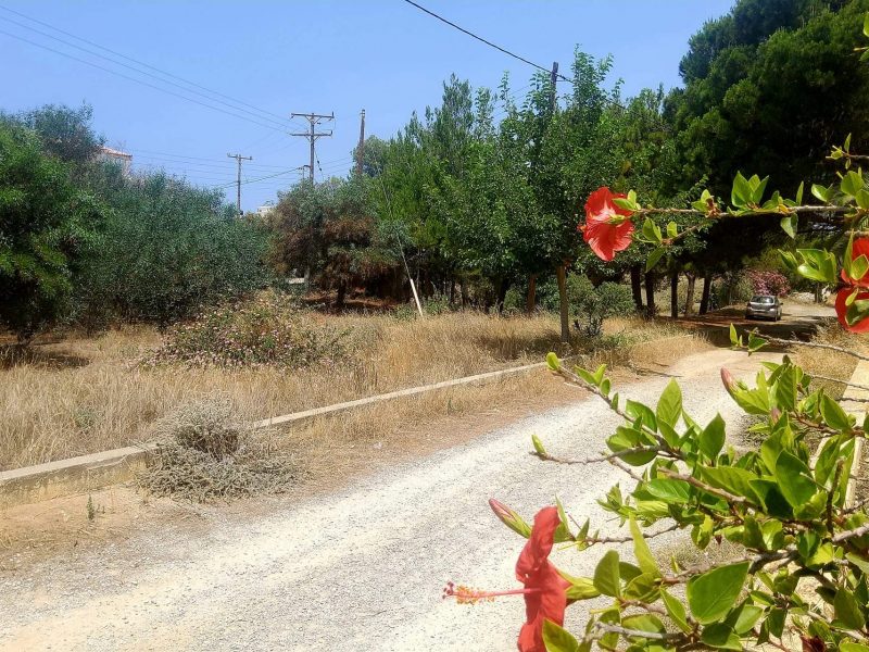 Plot for sale in Kalamaki South Crete