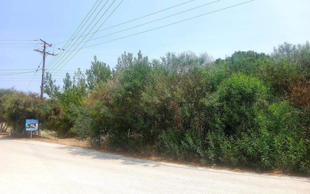 Plot for sale in Kalamaki South Crete