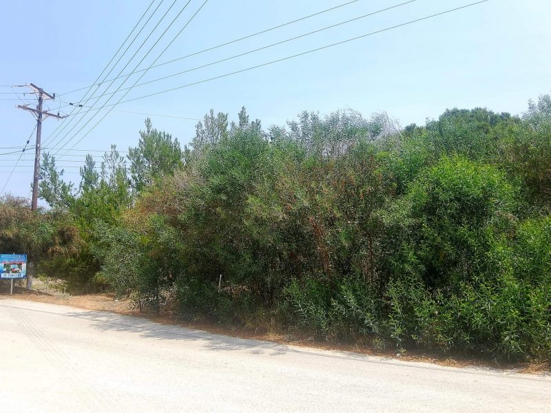 Plot for sale in Kalamaki South Crete