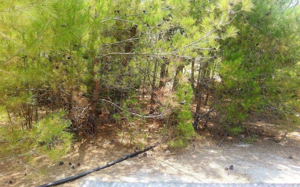 Plot for sale in Kalamaki South Crete