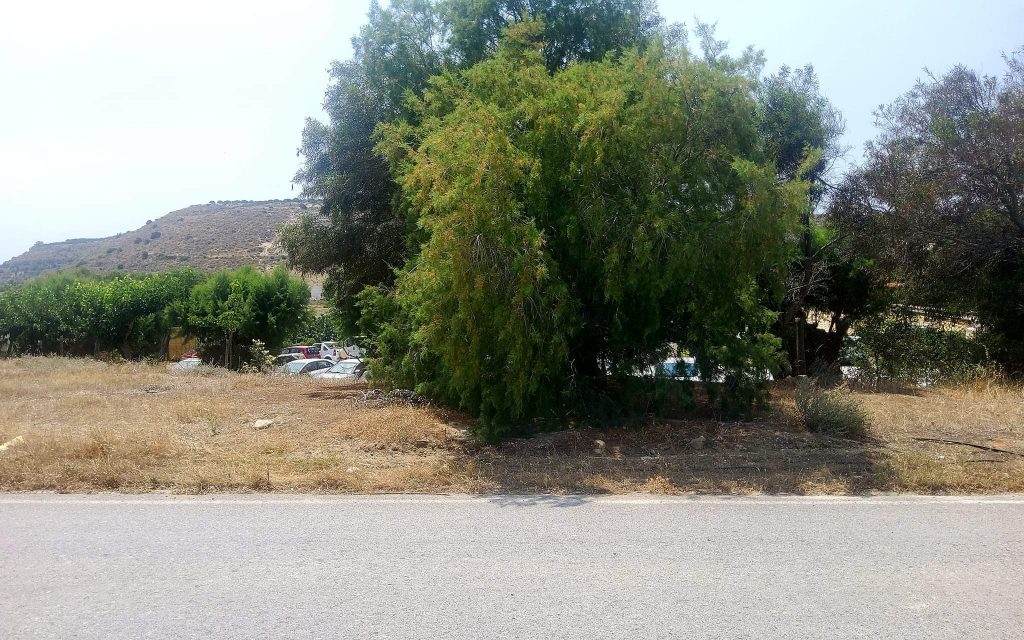 Plot for sale in Kalamaki South Crete No1