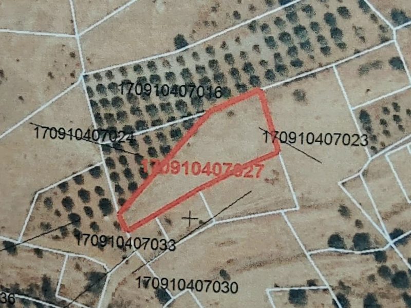 Agricultural Plot for Sale in Listaros, South Crete