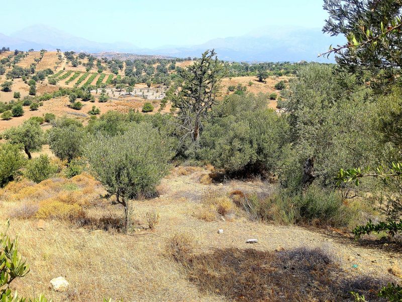 Plot Sea View for Sale in Listaros, South Crete