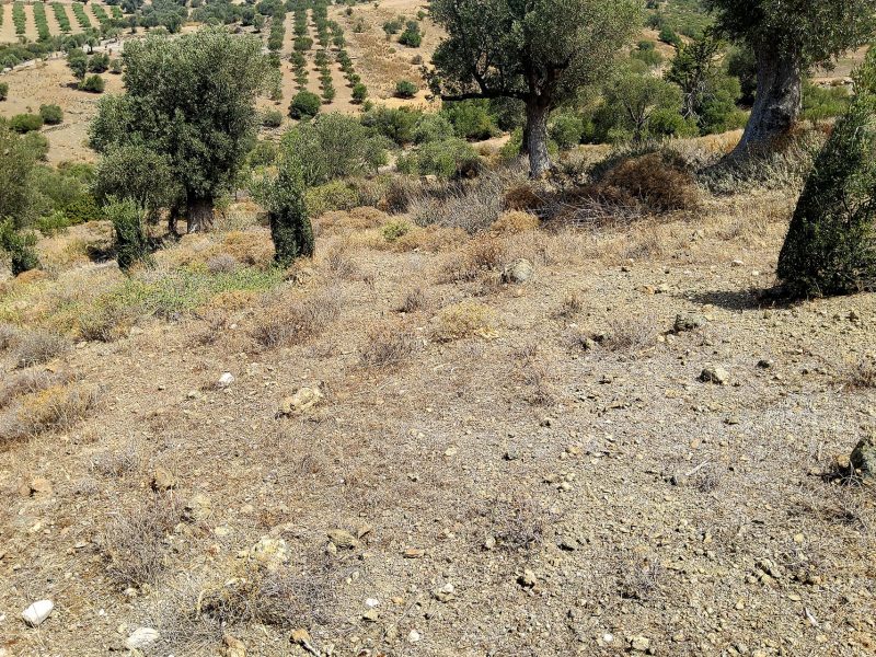 Plot Sea View for Sale in Listaros, South Crete