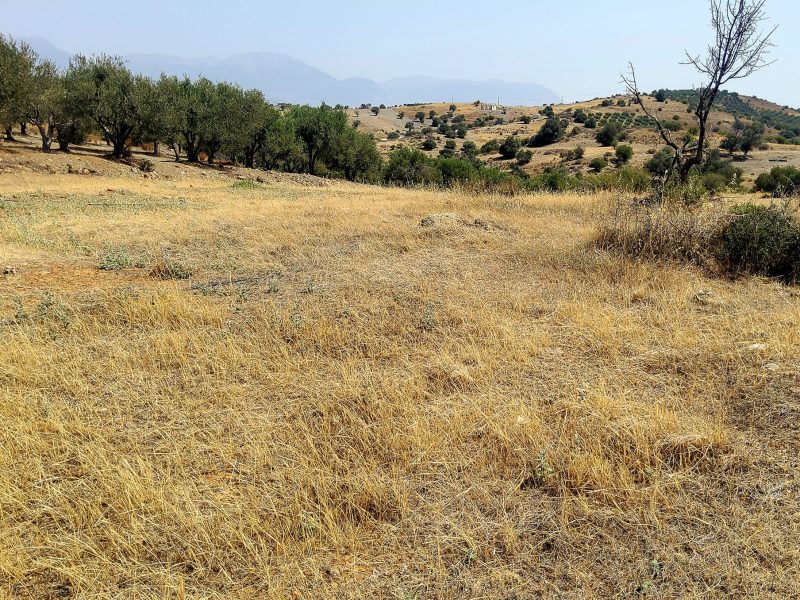 Agricultural Plot for Sale in Listaros, South Crete
