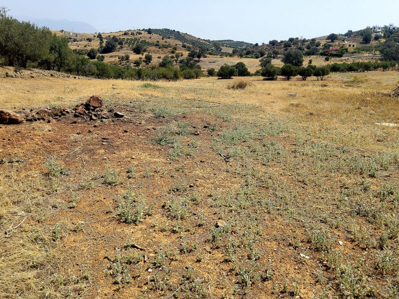Agricultural Plot for Sale in Listaros, South Crete