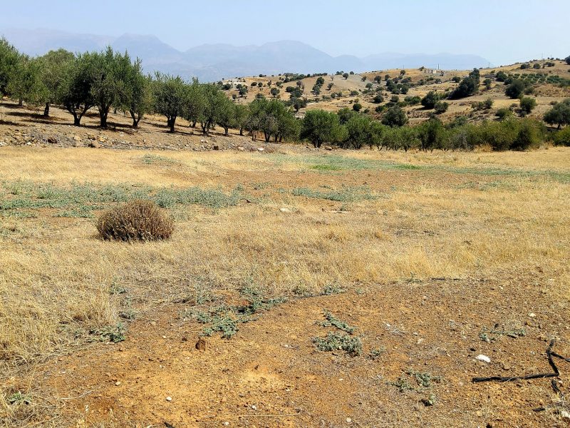 Agricultural Plot for Sale in Listaros, South Crete