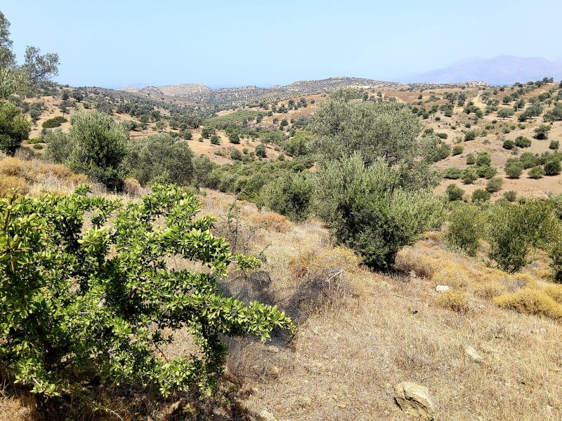 Plot Sea View for Sale in Listaros, South Crete