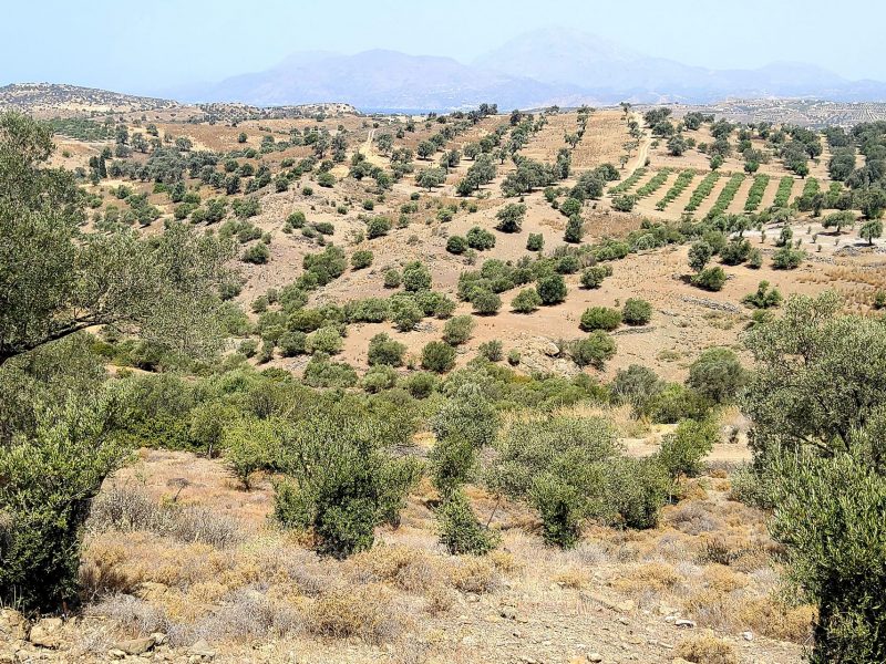 Plot Sea View for Sale in Listaros, South Crete