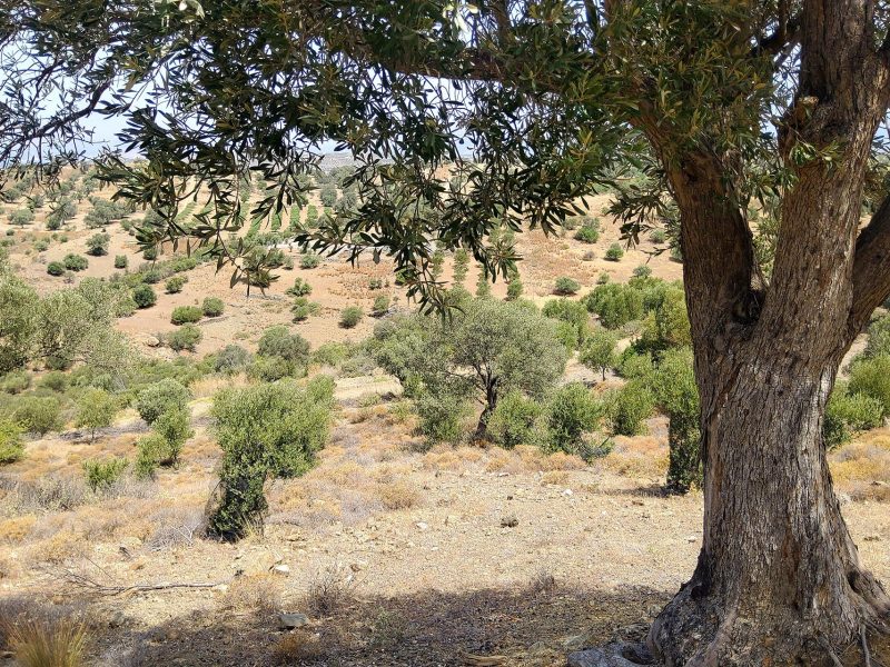 Plot Sea View for Sale in Listaros, South Crete