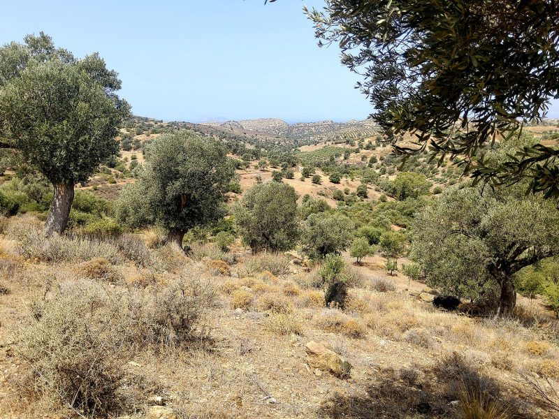 Plot Sea View for Sale in Listaros, South Crete