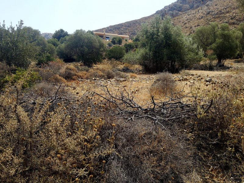 Plot Sea View for Sale in Listaros, South Crete