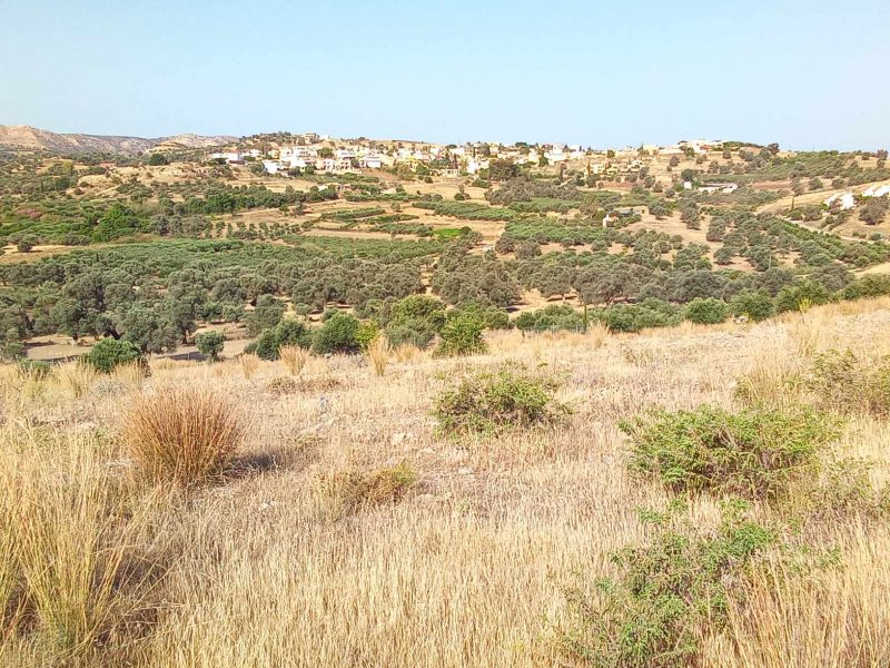 Big Plot for sale in Sivas South Crete